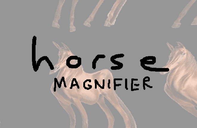 Horse Magnifier cover